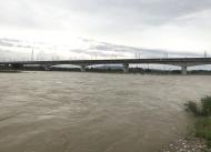 川の様子　新幹線高架橋付近